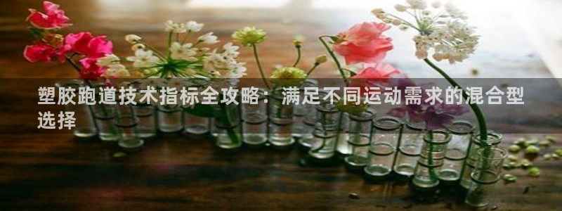尊龙凯时可以提现吗：塑胶跑道技术指标全攻略：满足不同运动需求的混合型
选择