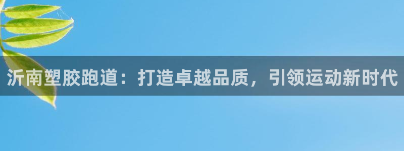 尊龙app怎么样：沂南塑胶跑道：打造卓越品质，引领运动新时代