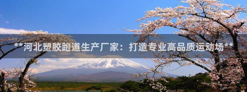 凯时APP官网首页：**河北塑胶跑道生产厂家：打造专业高品质运动场**