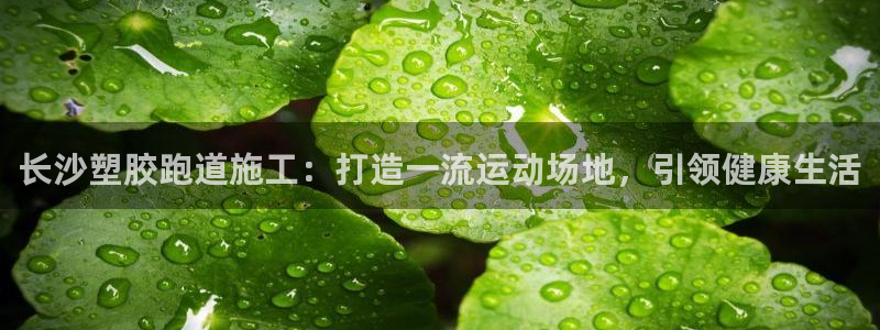 尊龙人生就是博旧版手机可靠送38元：长沙塑胶跑道施工：打造一流运动场地，引领健康生活