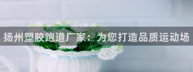 尊龙,人生就是博!登录国际：扬州塑胶跑道厂家：为您打造品质运动场