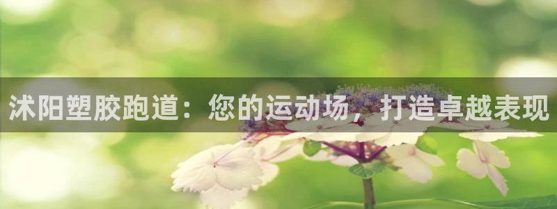 尊龙官网首页：沭阳塑胶跑道：您的运动场，打造卓越表现