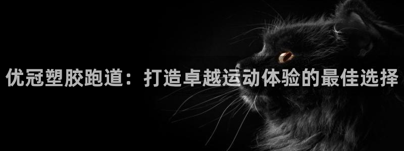 尊龙d88平台登录：优冠塑胶跑道：打造卓越运动体验的最佳选择