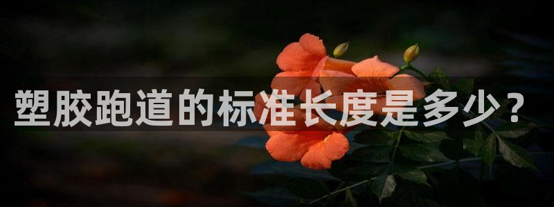 kb88凯时SO权威AG发财网：塑胶跑道的标准长度是多少？