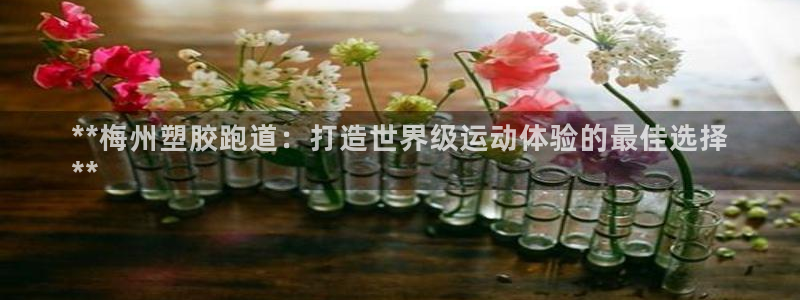 d88尊龙手机客户端下载：**梅州塑胶跑道：打造世界级运动体验的最佳选择
**