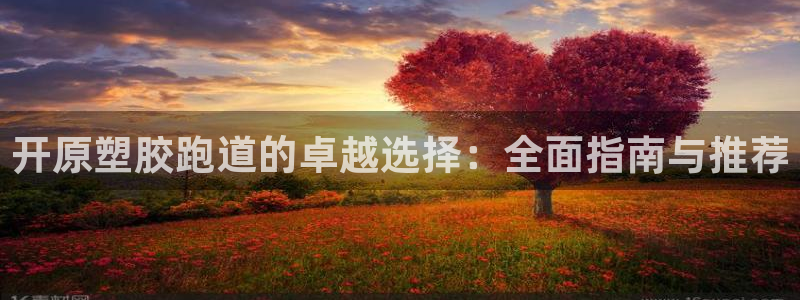 尊龙凯时人生就是博·(中国)官网最新：开原塑胶跑道的卓越选择：全面指南与推荐