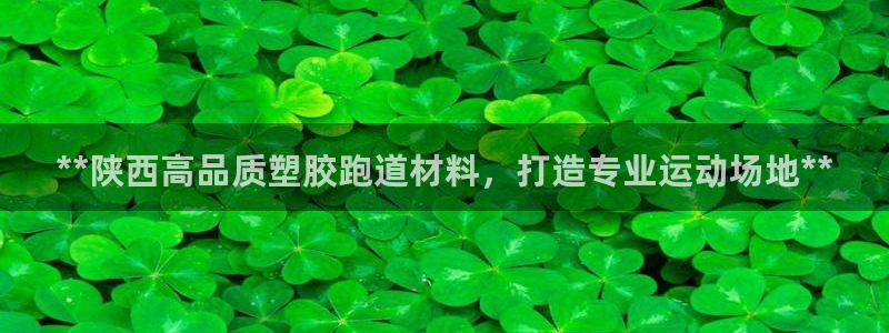 尊龙集团有限公司官网：**陕西高品质塑胶跑道材料，打