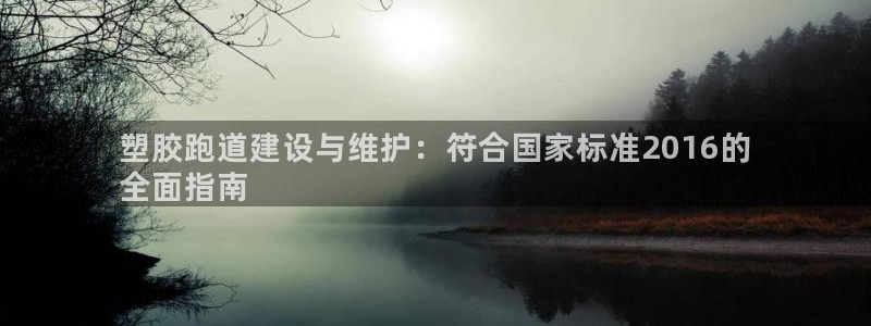尊龙在线登录官网：塑胶跑道建设与维护：符合国家标准2016的
全面指南