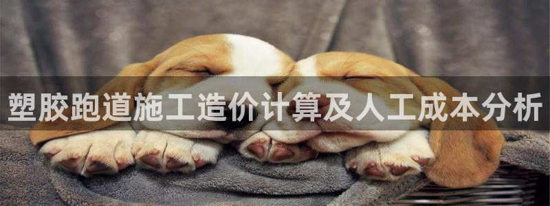 凯时游戏app：塑胶跑道施工造价计算及人工成本分析
