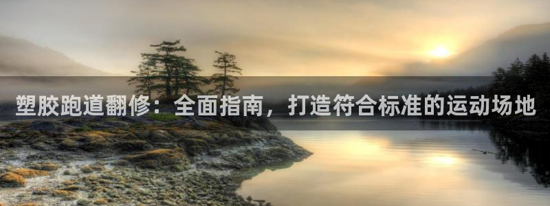 尊龙人生就是博首页：塑胶跑道翻修：全面指南，打造符合