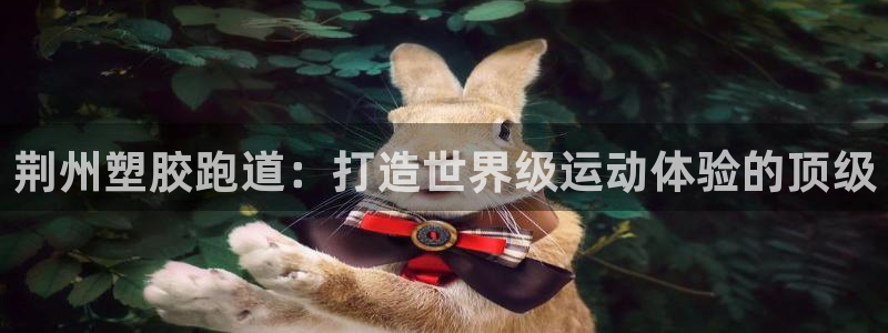 尊龙人生手机版：荆州塑胶跑道：打造世界级运动体验的顶级
