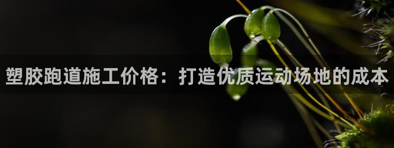 尊龙手机客户端app：塑胶跑道施工价格：打造优质运动场地的成本