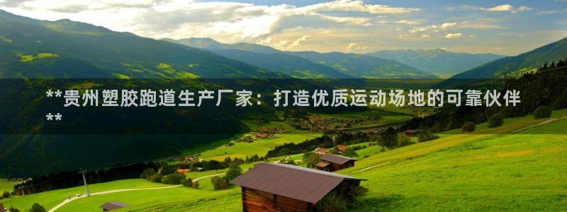 凯时kb88kb88：**贵州塑胶跑道生产厂家：打造优质运动场地的可靠伙伴
**
