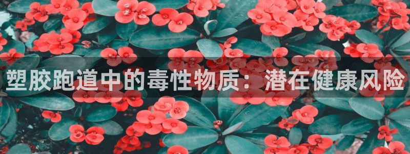 尊龙一人生就是博尊：塑胶跑道中的毒性物质：潜在健康风险