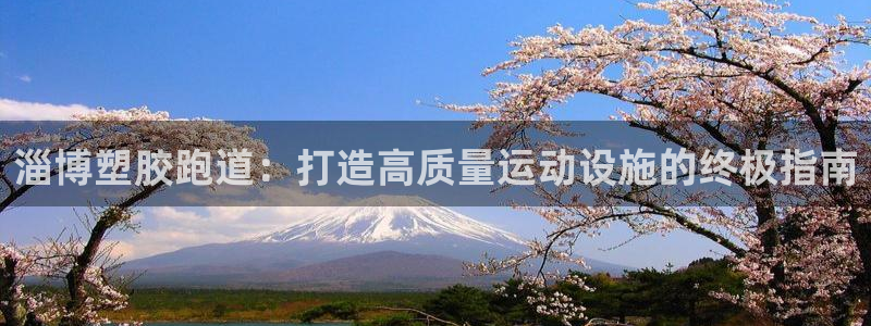 尊龙d88官网确来就送38：淄博塑胶跑道：打造高质量运动设施的终极指南