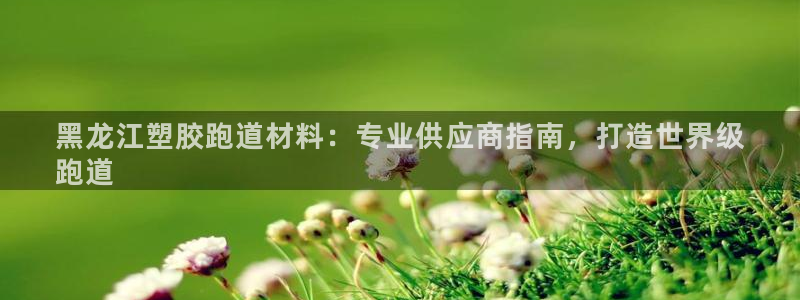尊龙AG旗舰店：黑龙江塑胶跑道材料：专业供应商指南，打造世界级
跑道