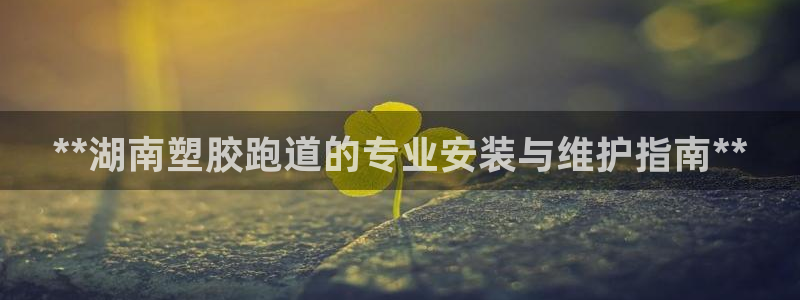 凯时kb88kb88：**湖南塑胶跑道的专业安装与维