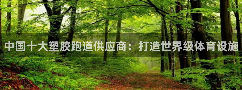 凯时网上官方网站：中国十大塑胶跑道供应商：打造世界级