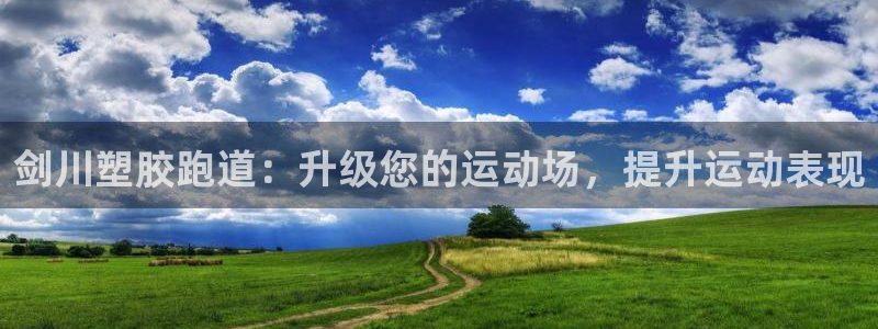 尊龙ag旗舰厅官网·(中国)官方入口：剑川塑胶跑道：