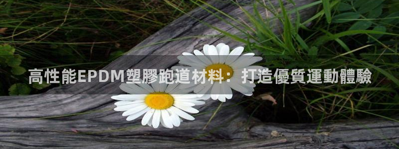 尊龙 10：高性能EPDM塑膠跑道材料：打造優質運動體驗
