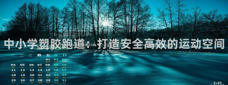 尊龙人生就是博ag旗舰厅：中小学塑胶跑道：打造安全高效的运动空间