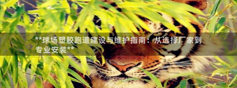 尊龙集团官网：**球场塑胶跑道建设与维护指南：从选择厂家到
专业安装**