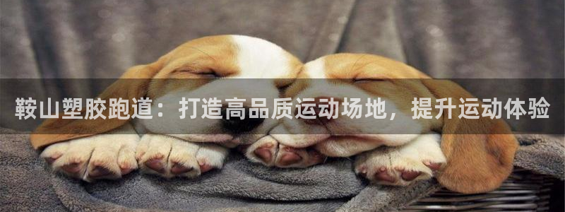 z6尊龙官方网站：鞍山塑胶跑道：打造高品质运动场地，提升运动体验