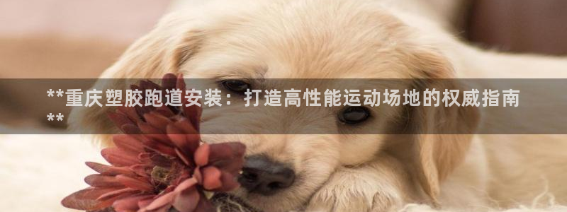 尊龙凯时输钱的原因：**重庆塑胶跑道安装：打造高性能运动场地的权威指南
**