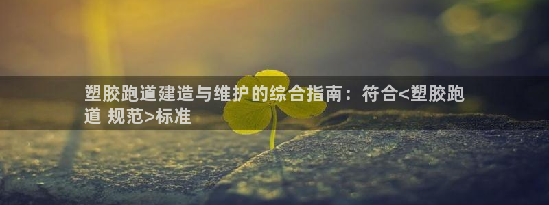 尊龙凯时有限公司：塑胶跑道建造与维护的综合指南：符合