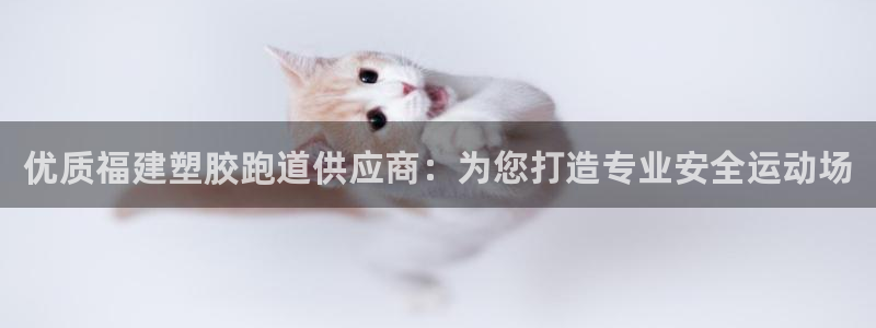 尊龙人生就是博网站：优质福建塑胶跑道供应商：为您打造专业安全运动场