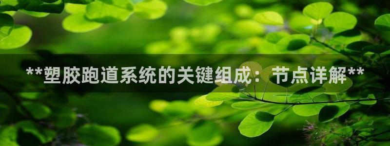 尊龙z6集团：**塑胶跑道系统的关键组成：节点详解**