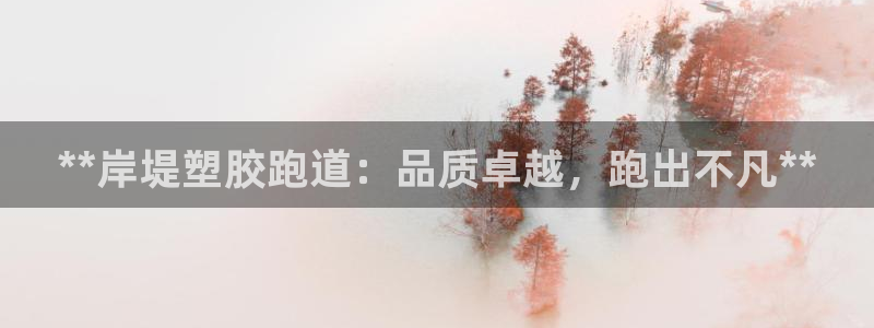 尊龙手机客户端app：**岸堤塑胶跑道：品质卓越，跑出不凡**