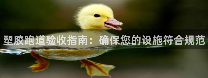 尊龙凯时下载人生就是博：塑胶跑道验收指南：确保您的设