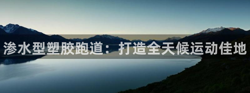 尊龙下载推荐网站：渗水型塑胶跑道：打造全天候运动佳地