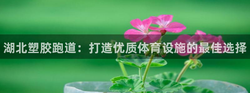 尊龙人生就是博登陆：湖北塑胶跑道：打造优质体育设施的