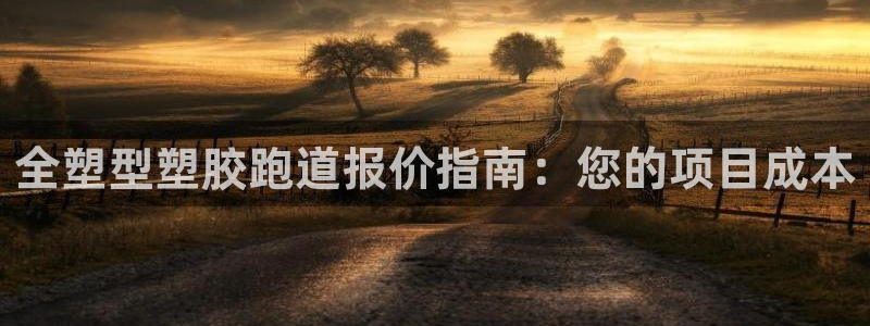 尊龙人生就是一博!：全塑型塑胶跑道报价指南：您的项目