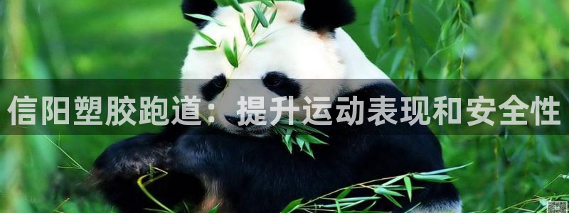 尊龙休闲e站怎么样：信阳塑胶跑道：提升运动表现和安全性