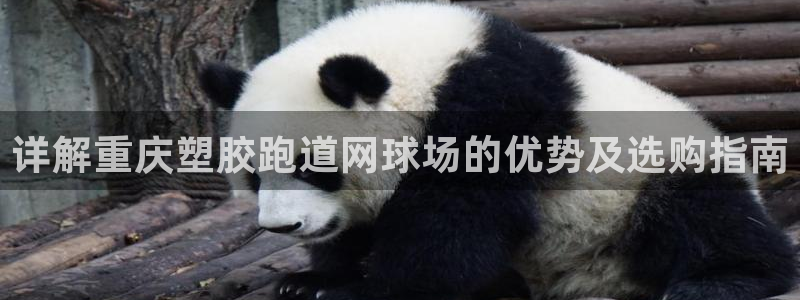 z6尊龙凯时：详解重庆塑胶跑道网球场的优势及选购指南