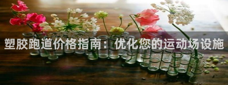 d88尊龙凯时：塑胶跑道价格指南：优化您的运动场设施
