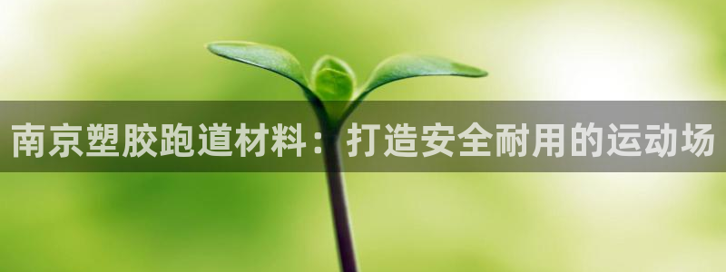 尊龙人生就是博l：南京塑胶跑道材料：打造安全耐用的运动场
