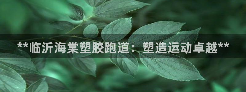 有人在凯时赢过钱吗：**临沂海棠塑胶跑道：塑造运动卓