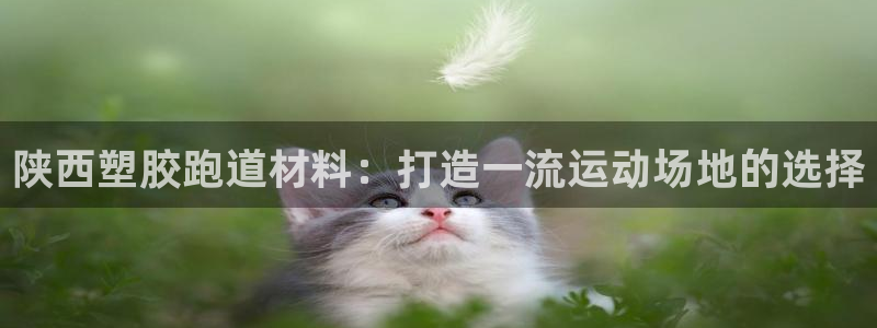 尊龙coming to my own：陕西塑胶跑道材料：打造一流运动场地的选择