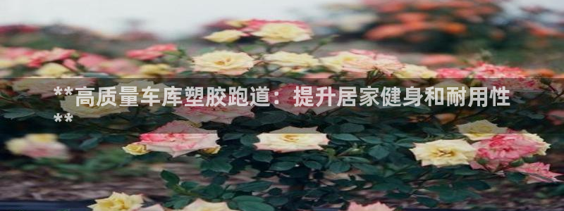尊龙游戏app官方网站：**高质量车库塑胶跑道：提升