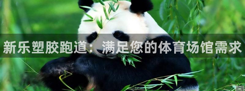 尊龙官网免费下载安装：新乐塑胶跑道：满足您的体育场馆