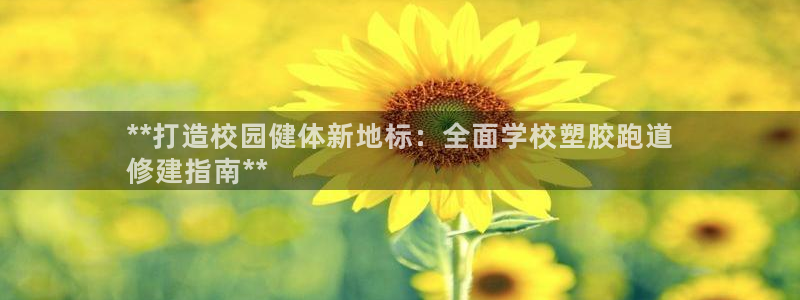 尊龙网站登录：**打造校园健体新地标：全面学校塑胶跑