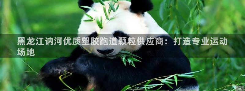 尊龙凯时取款不成功：黑龙江讷河优质塑胶跑道颗粒供应商