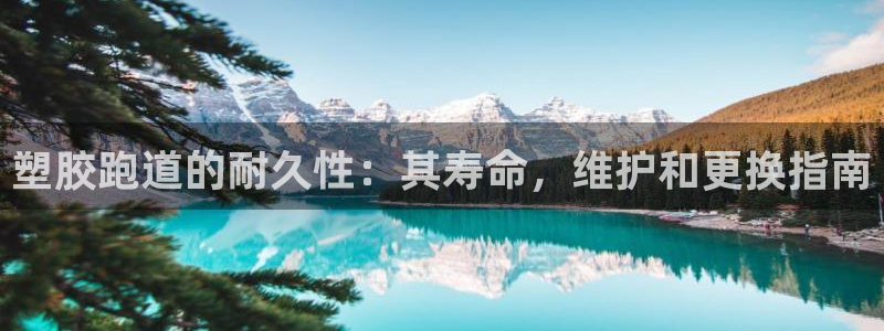 尊龙人生就是博登陆：塑胶跑道的耐久性：其寿命，维护和