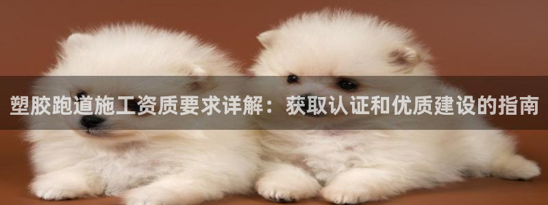 尊龙官网入口：塑胶跑道施工资质要求详解：获取认证和优质建设的指南