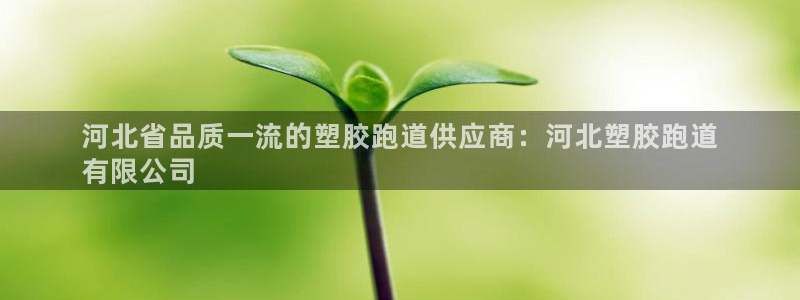 尊龙eight is enough：河北省品质一流的