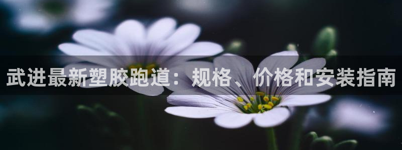 尊龙官方平台是正品吗：武进最新塑胶跑道：规格、价格和安装指南